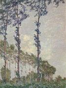 Claude Monet WInd Effect,Sequence of Poplars oil painting